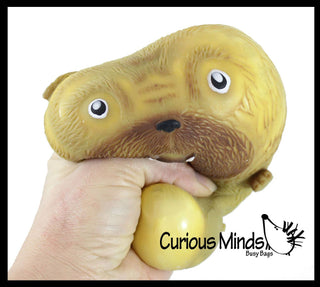 1 Cute Dog Soft Fluff Doh - Filled Squeeze Stress Balls   - The Edit LLC