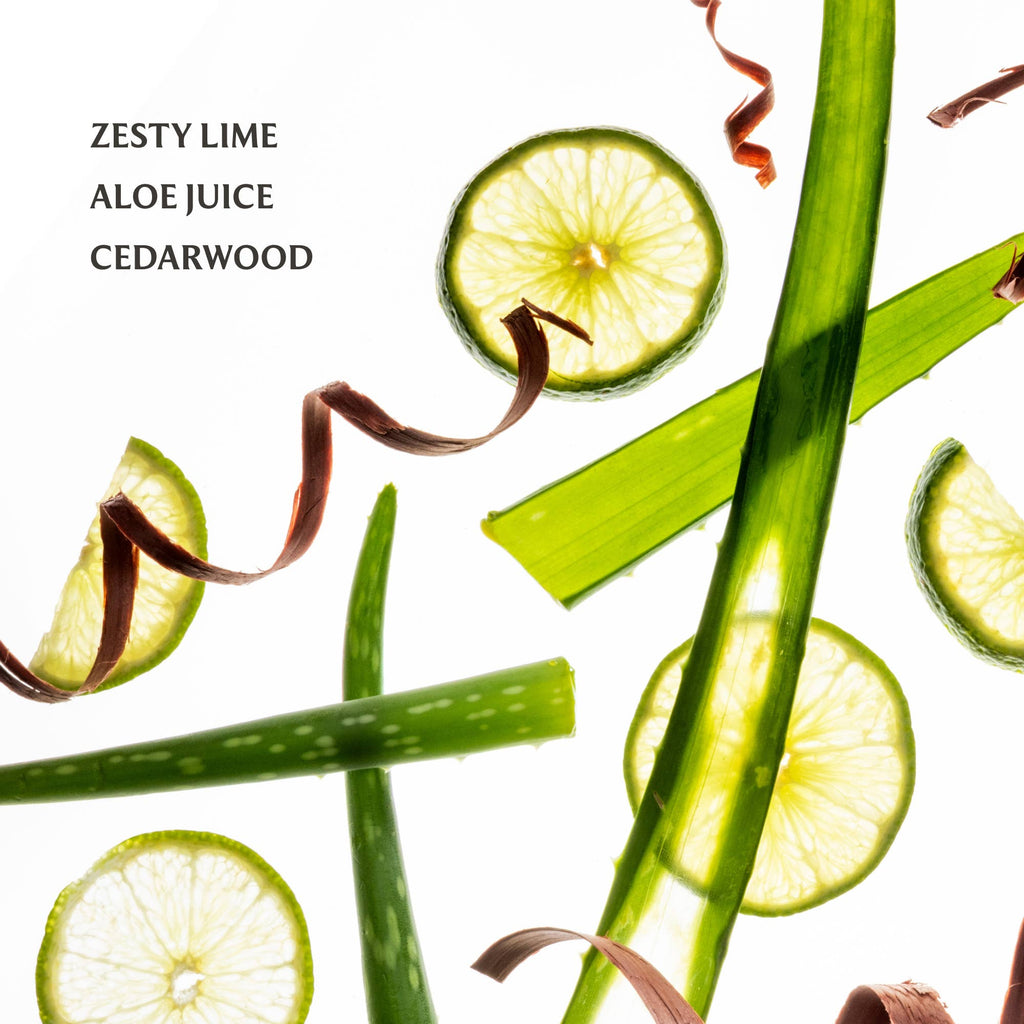 Aloe You Power Mist Hydrating Hand Sanitizer - The Edit LLC