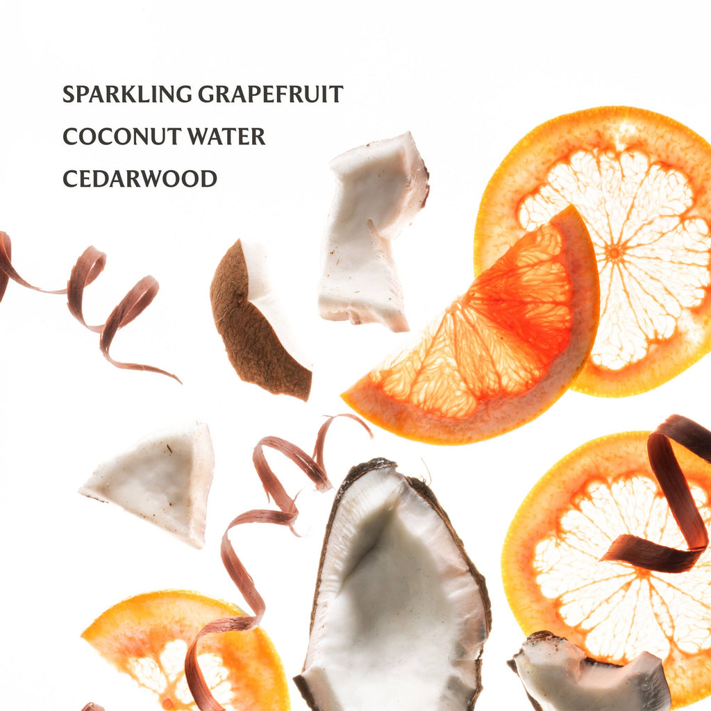 Beach Coco Power Mist Hydrating Hand Sanitizer - The Edit LLC