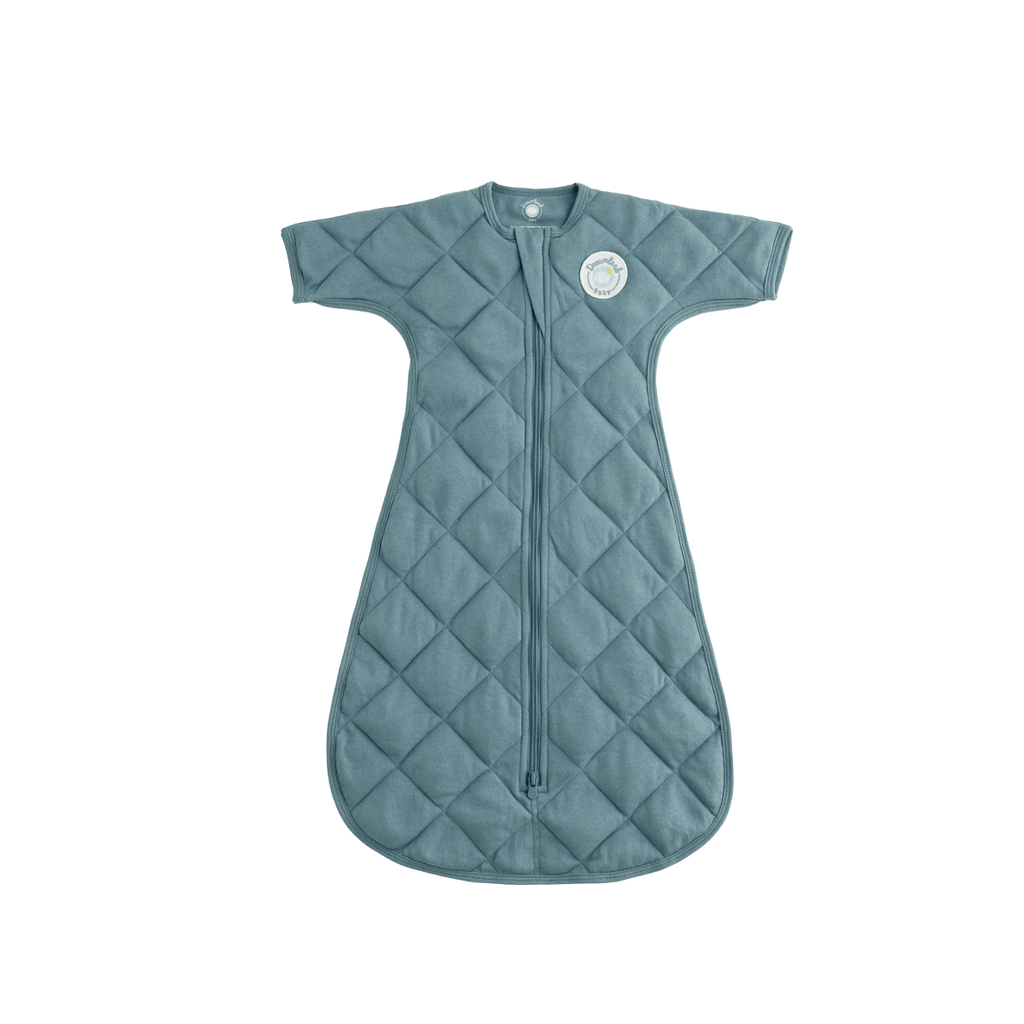 Blue (3 - 6m) Dream Weighted Transition Swaddle - The Edit LLC