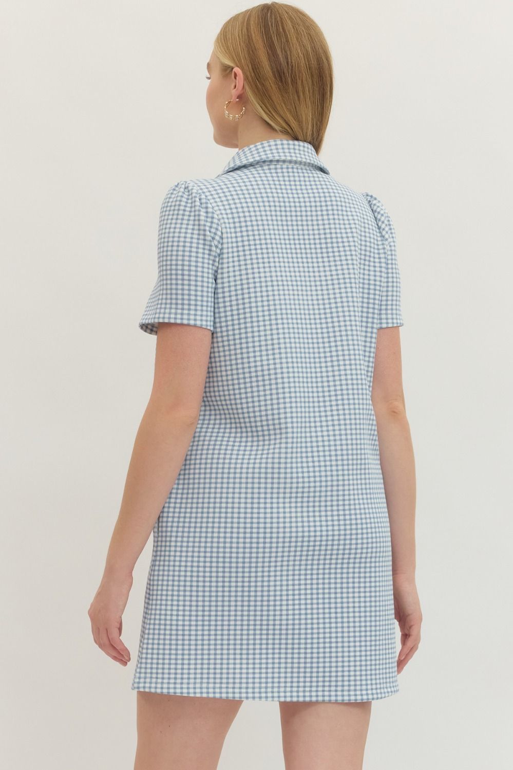 Blue Gingham Puff Sleeve Mini Dress – The Edit LLC