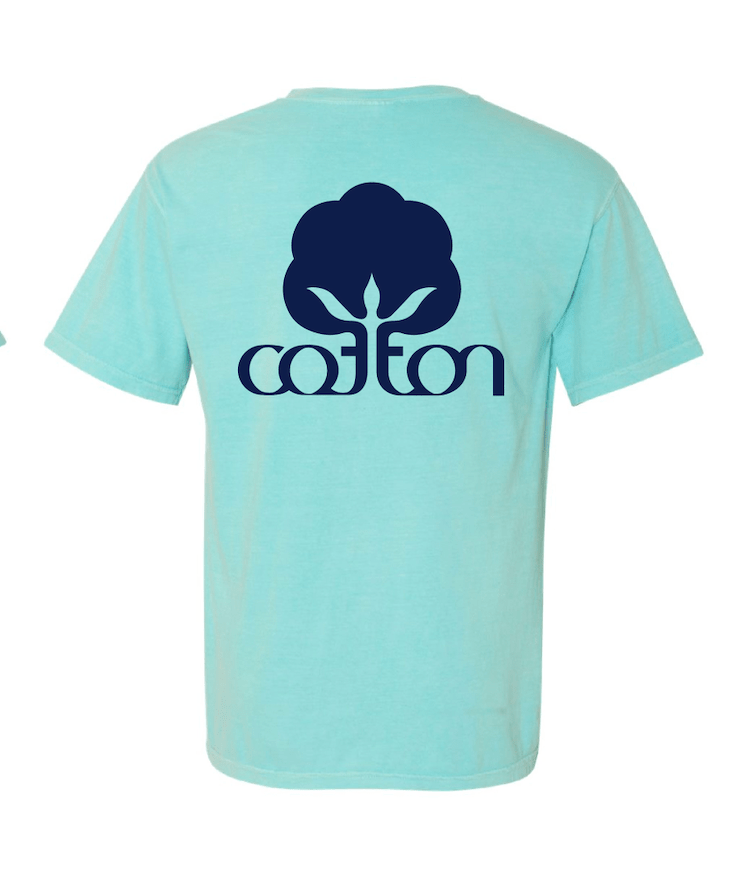 Chalky Mint Cotton Comfort Color Tee - The Edit LLC