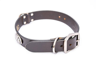 Cotton Boll Brown Leather Dog Collar: Small 14"-17" - The Edit LLC