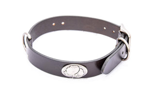 Cotton Boll Brown Leather Dog Collar: Small 14"-17" - The Edit LLC