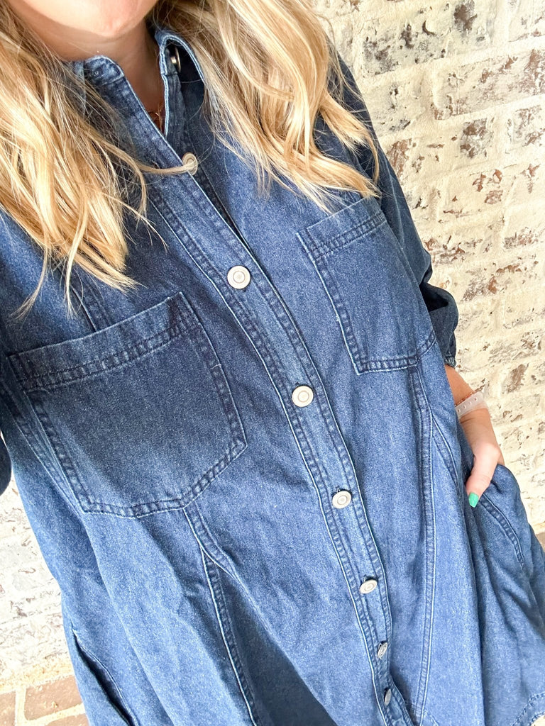 Denim Collared Dress - The Edit LLC