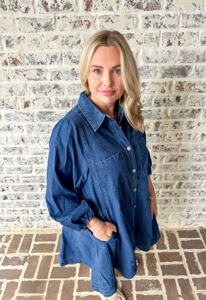 Denim Collared Dress - The Edit LLC