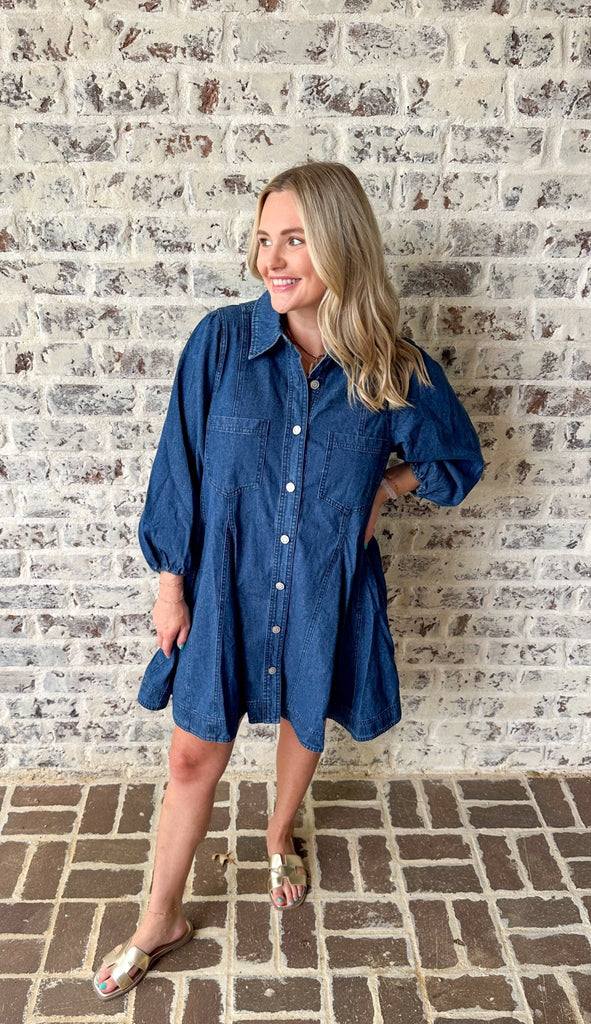 Denim Collared Dress - The Edit LLC