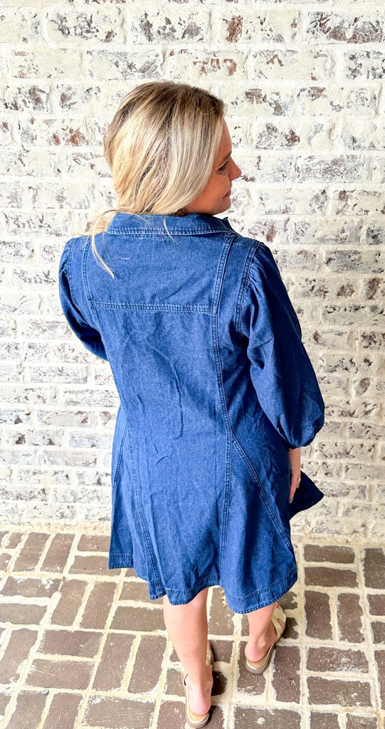 Denim Collared Dress - The Edit LLC