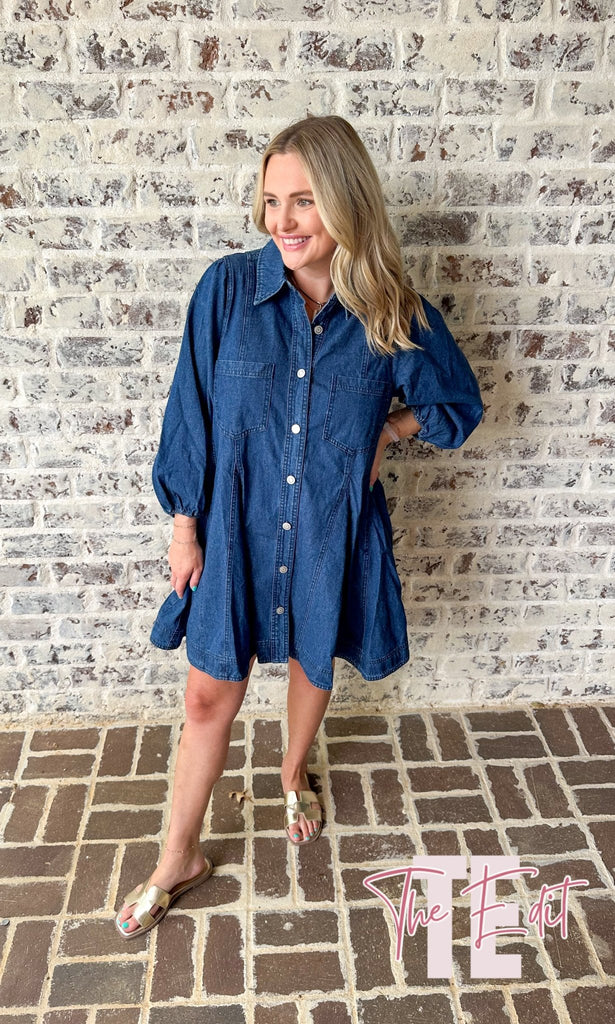 Denim Collared Dress - The Edit LLC