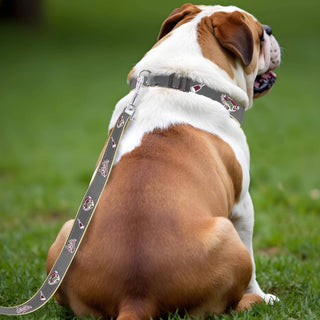 Mississippi State Bulldogs Collegiate Woven Ribbon Dog Collar.: Gray / Small - The Edit LLC