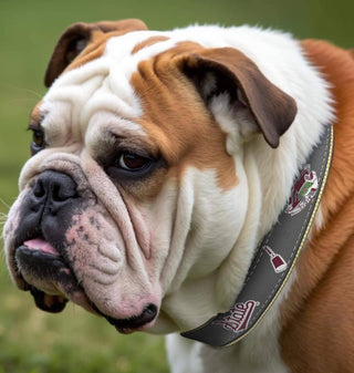 Mississippi State Bulldogs Collegiate Woven Ribbon Dog Collar.: Gray / Small - The Edit LLC