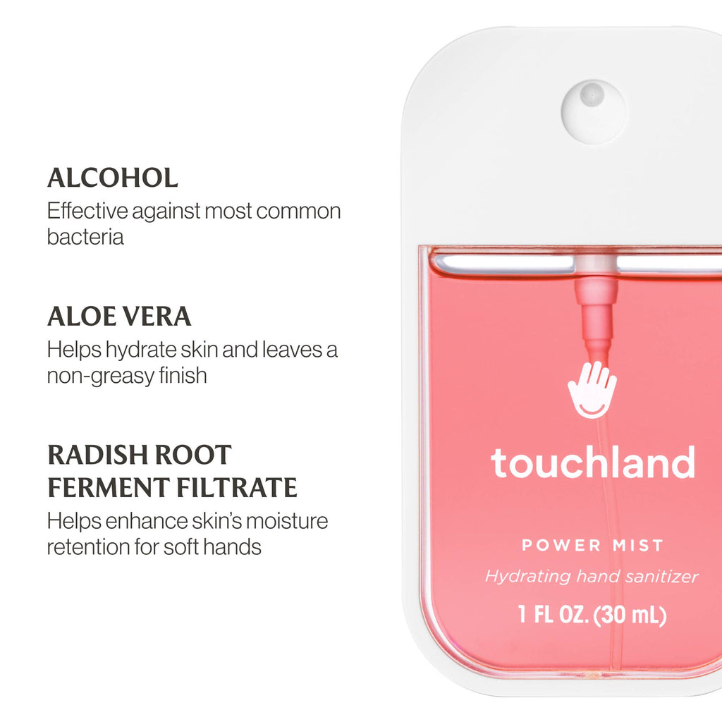 Wild Watermelon Power Mist Hydrating Hand Sanitizer - The Edit LLC