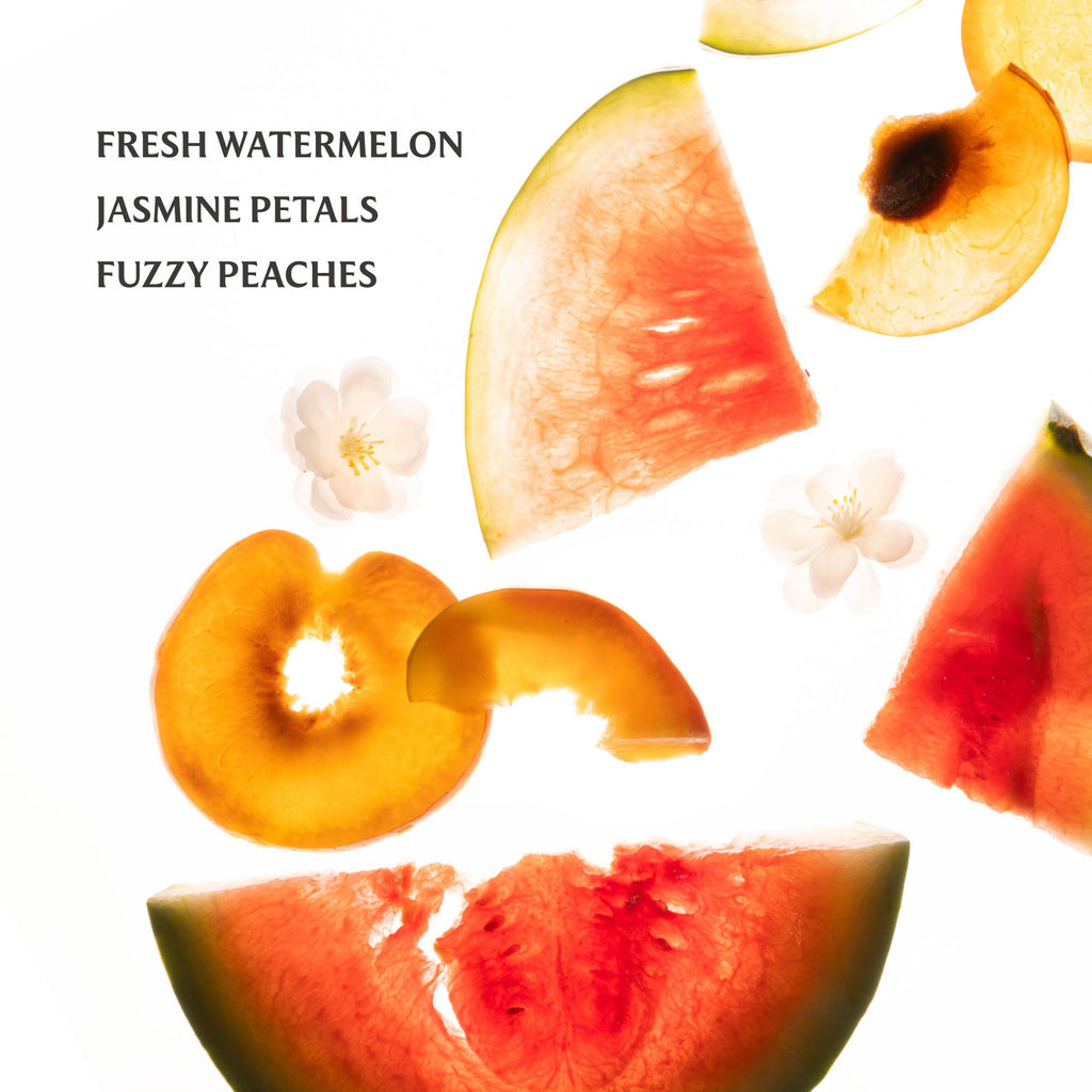 Wild Watermelon Power Mist Hydrating Hand Sanitizer - The Edit LLC